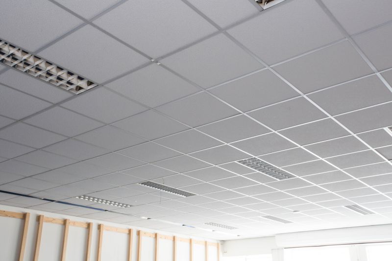 Acoustic Ceiling Replacement in Longmont, CO