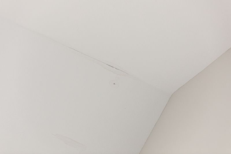 Common Causes of Ceiling Damage