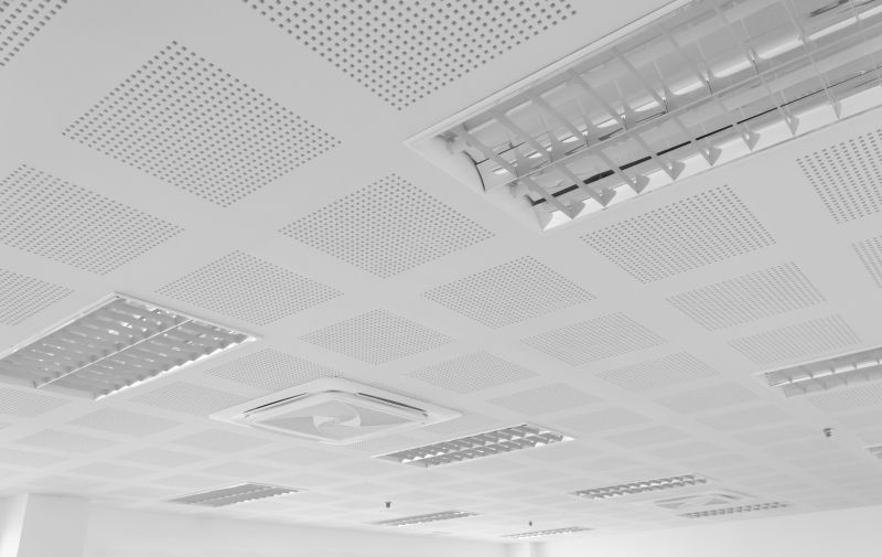 Ceiling Tiles Installation in Longmont, CO
