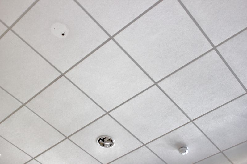 Grid Ceiling Installation in Longmont, CO