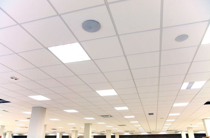 Grid Ceiling Repair in Arvada, CO