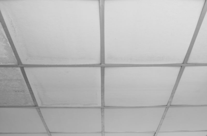 Suspended Ceiling Repair in Boulder, CO