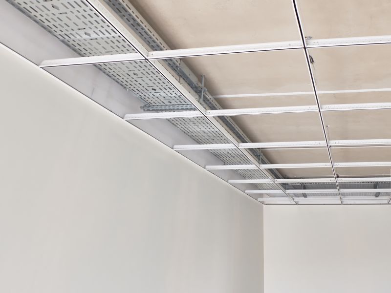 Suspended Ceiling Repair in Longmont, CO